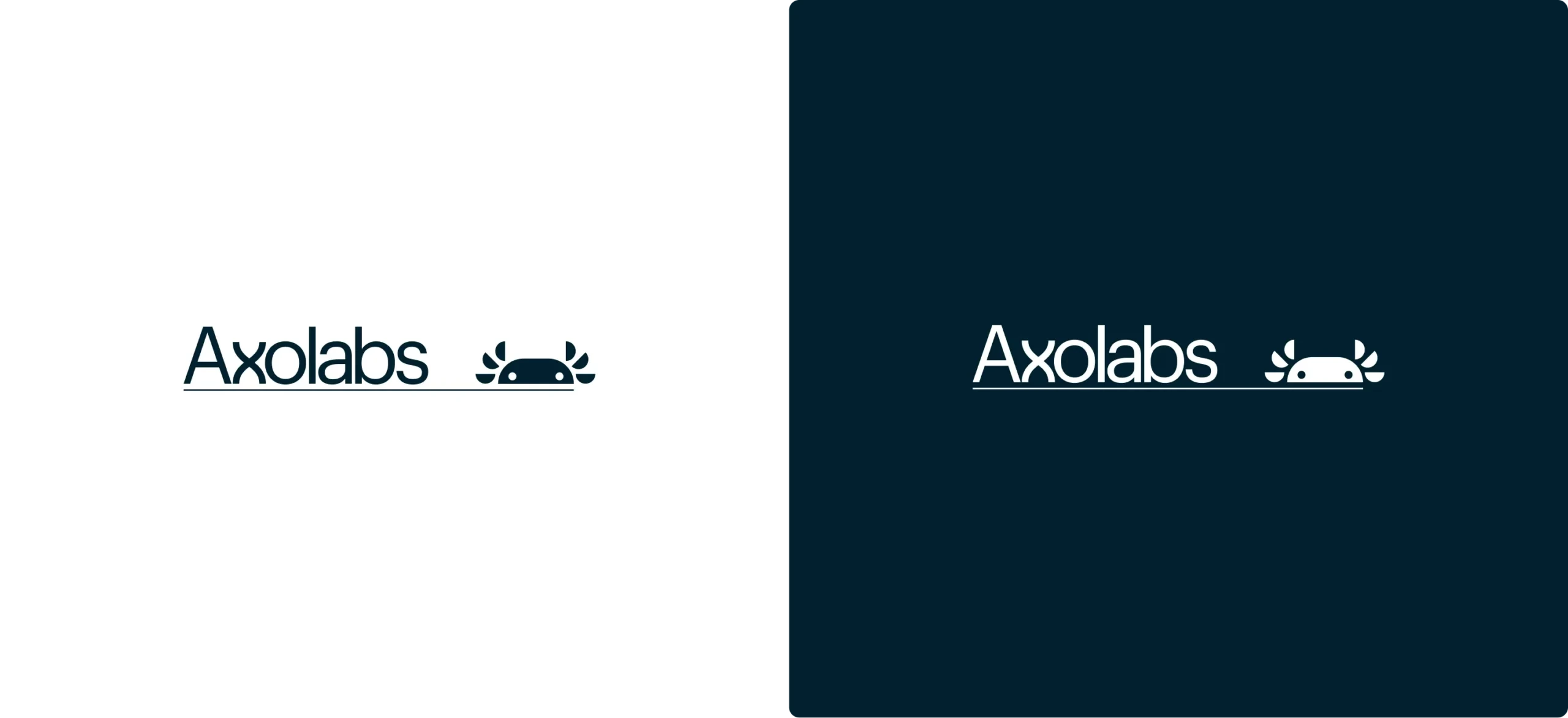 Axolabs logo light and dark