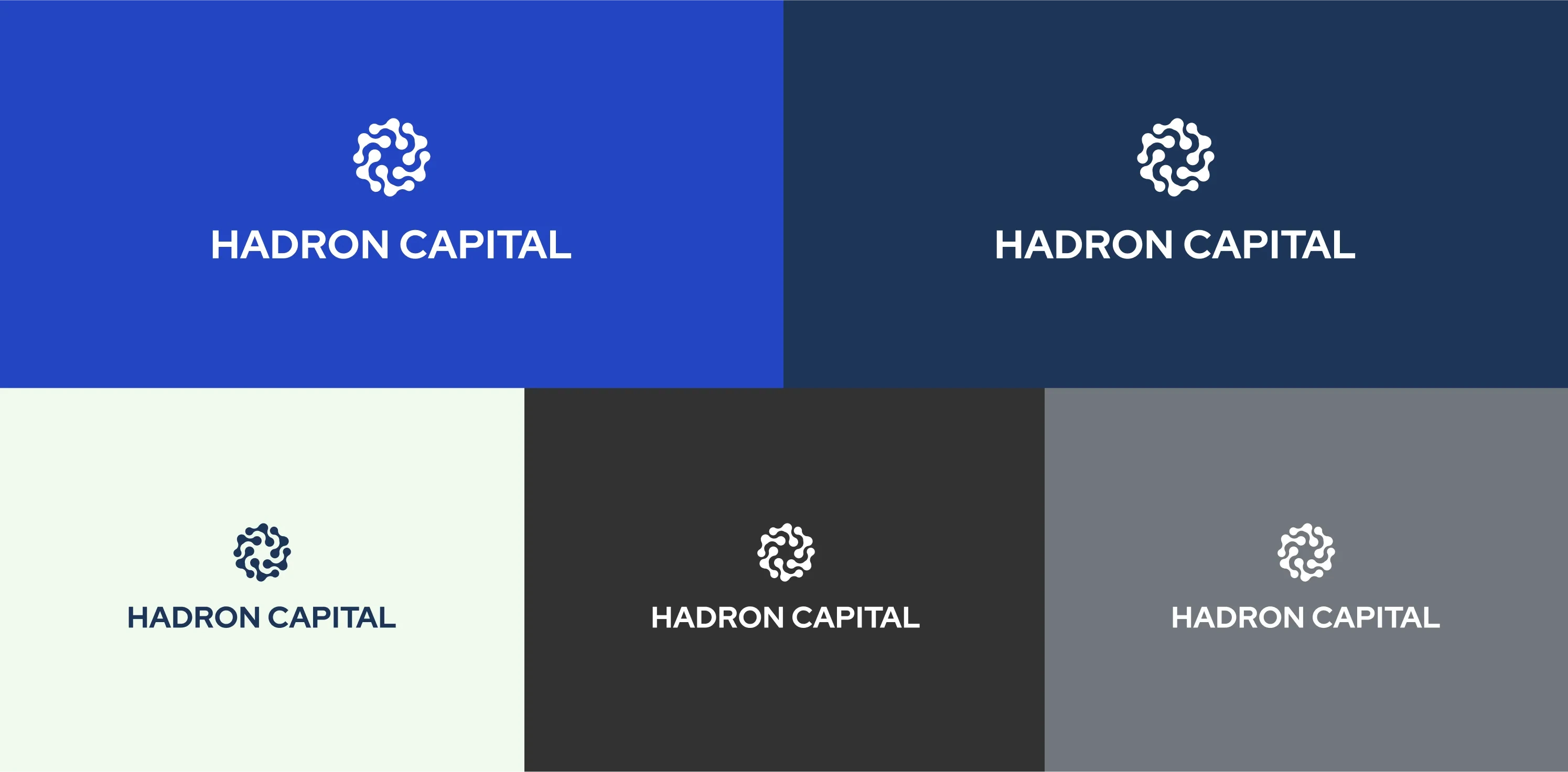 Hadron Capital logo variations