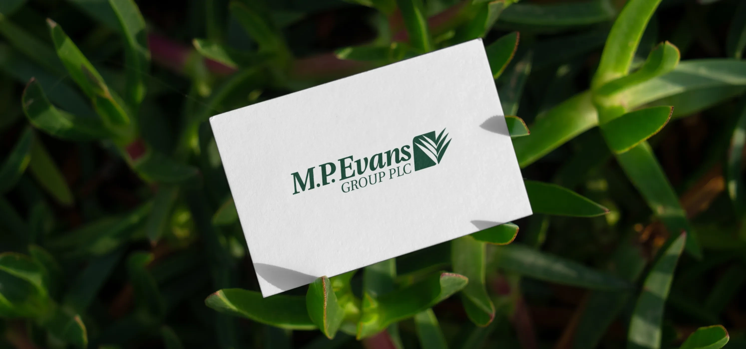 MP Evans branded business card